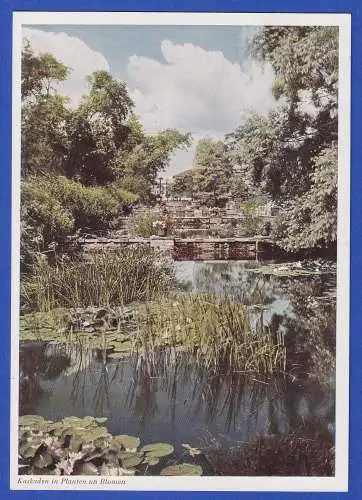 AK Hamburg Ausstellungspark Planten und Blomen mit So.-O gel. nach Viernau 1951