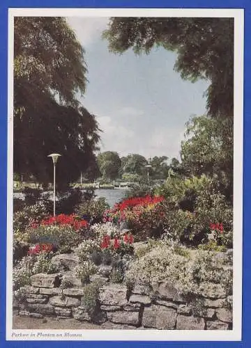 AK Hamburg Ausstellungspark Planten und Blomen mit So.-O Dental-Schau 1951