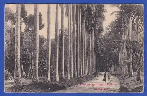 Ceylon 1913 AK Botanischer Garten Peredeniya gelaufen nach Leipzig