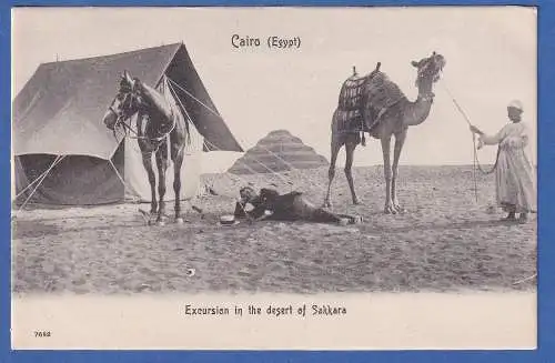 Alte AK Ägypten Kairo Exkursion in die wüste Sakkara ungelaufen um 1900-1920 ? 