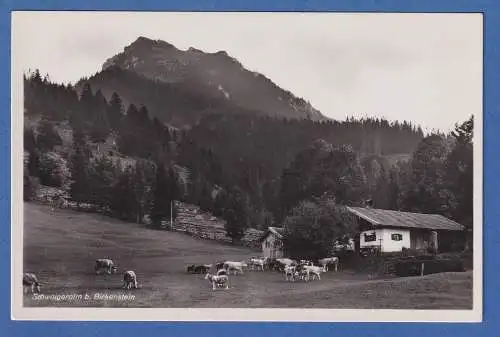 Alte AK Bayern Birkenstein Schwaigeralm ungelaufen um 1930-1940