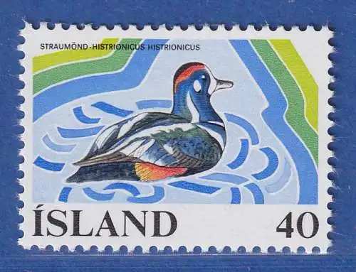 Island 1977 Kragenente Mi.-Nr. 524  ** 