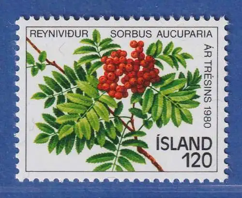 Island 1980 Jahr des Baumes, Zweig einer Eberesche Mi.-Nr. 554 ** 
