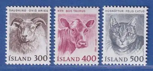 Island 1982 Haustiere, Schaf Hausrind Hauskatze Mi.-Nr. 580-82 Satz kpl. ** 