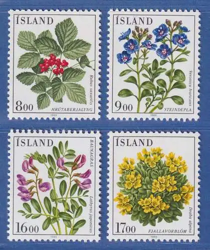 Island 1985 Blumen Mi.-Nr. 628-31 Satz kpl. ** 