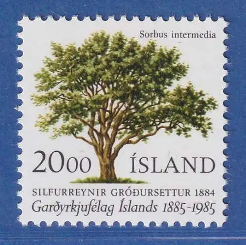 Island 1985 Schwedische Eberesche  Mi.-Nr. 634 ** 
