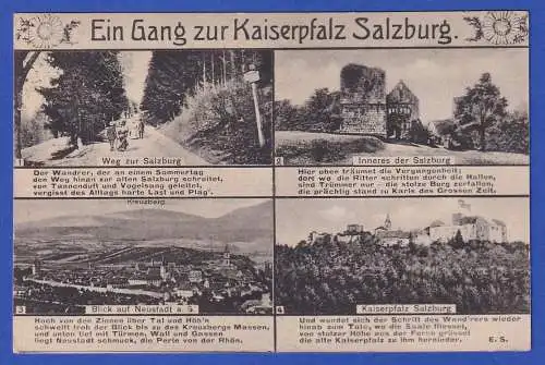 Alte AK Gang zur Kaiserpfalz Burg Salzburg bei Neustadt/Saale