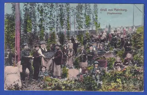 Alte AK Gruß aus Mainburg (Hallertau) Hopfenernte, wohl 1910er Jahre