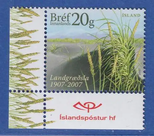 Island 2007 Bodenschutzbehörde, Gräser in der Dünenlandschaft  Mi.-Nr. 1172 ** 