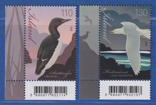 Island 2009 Vögel, Dickschnabellumme Eismöwe Mi.-Nr. 1252-53 ** 