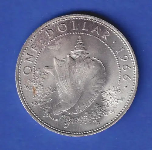 Bahamas Silbermünze Meeresschnecke 1$  1966