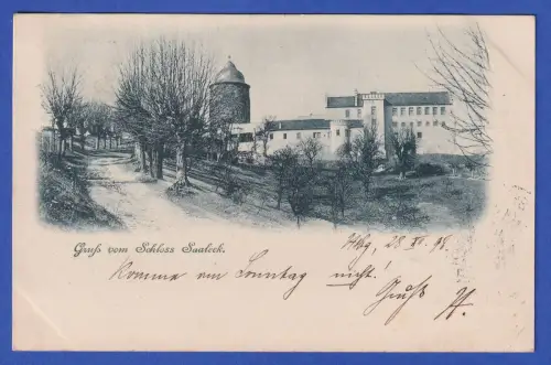 Alte AK Schloss Saaleck bei Hammelburg, gelaufen 1898