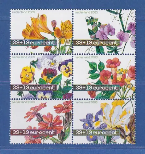Niederlande 2003 Sommermarken Blumen Mi.-Nr. 2098-103 ** / MNH
