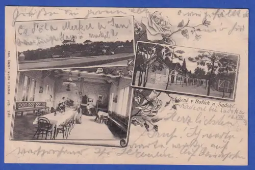 Alte AK Sadská (Mittelböhmen) Ortsansicht Kuranlage, gelaufen 1903