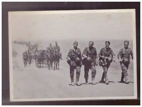 [Propagandapostkarte] Dt- Reich (024487) Propaganda AK in der Steppe des Südabschnitts, das deutsche Heer an allen Fronten, ungebraucht. 