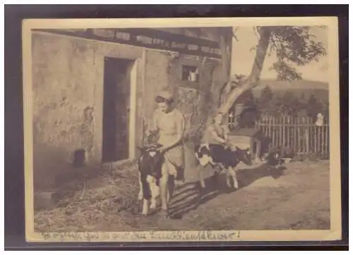 [Propagandapostkarte] Dt- Reich (024494) Propaganda AK Landdienst der Hitler-Jugend, Gebiet Sachsen gelaufen mit Werbestempel Plauen 2.8.1943. 