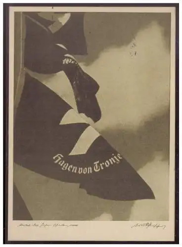 [Propagandapostkarte] Sudetenland (008084) Propagandakarte Fahne Hagen von Tronje, gestempelt mit Befreiungsstempel Asch am 21.9.1938. 