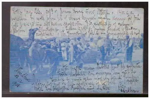 [Ansichtskarte] DTSW (009271) Postkarte Deutsch Südwestafrika Behandlung- gedrückter Kamele, gelaufen Windhuk am 12.2.1908. 