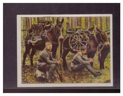Die deutsche Wehrmacht. 