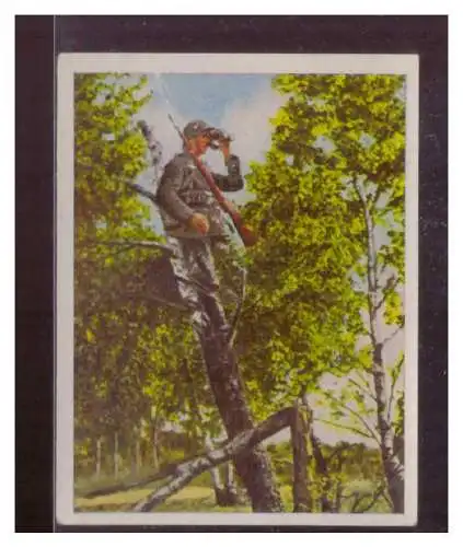 Die deutsche Wehrmacht. 