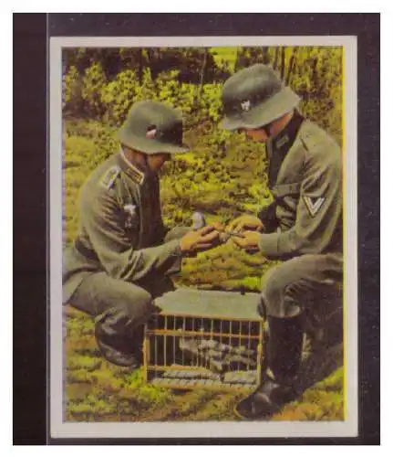 Die deutsche Wehrmacht. 