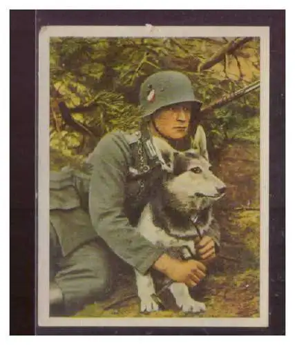 Die deutsche Wehrmacht. 