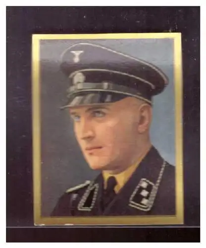 Wer führt das Dritte Reich?. 