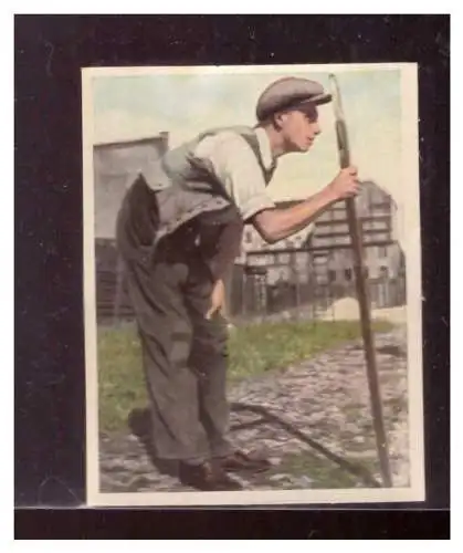 Der Staat der Arbeit und des Friedens. 
