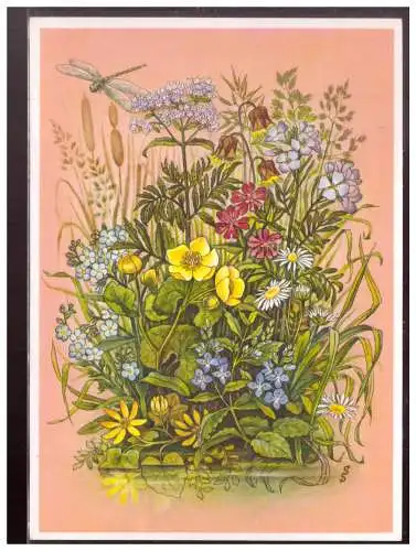 [Propagandapostkarte] DT- Reich (009901) Postkarte Reichsgartenschau Stuttgart 1939 "Blumen am Wasser" blanco gestempelt mit SST am 13.6.1939. 