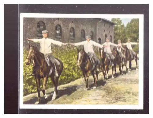 Die Deutsche Wehrmacht. 