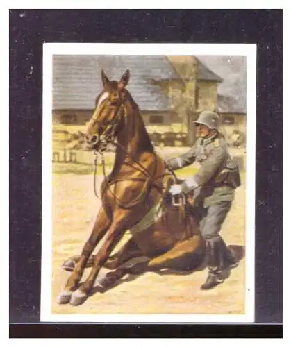 Die Deutsche Wehrmacht. 