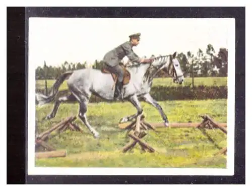 Die Deutsche Wehrmacht. 