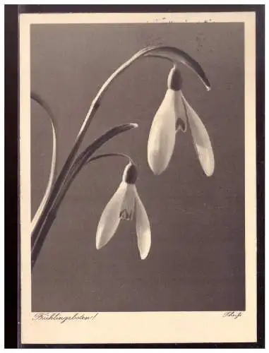 Deutsches Reich  Rundstempel (Datum und/oder Ort klar)