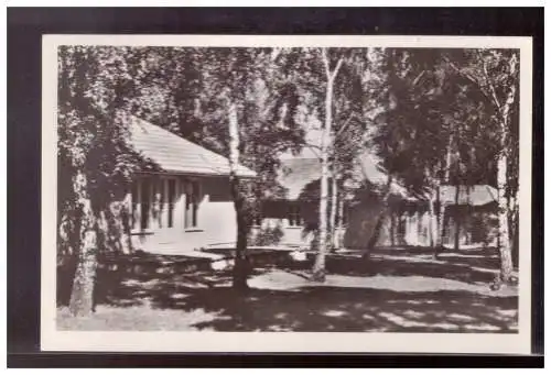 [Propagandapostkarte] Dt- Reich (020741) Propaganda AK Berlin Olympia 1936, Olympisches Dorf, Wohnhäuser im Birkenwald, ungebraucht. 