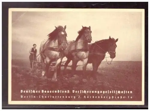 Deutsches Reich  Ungebraucht