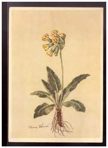 Deutsches Reich  Rundstempel (Datum und/oder Ort klar)