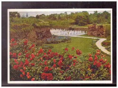 [Echtfotokarte farbig] Dt- Reich (022691) Propaganda Postkarte Reichsgartenschau Stuttgart 1939, Blick ins Tal der Rosen, blanco gest mit SST. 