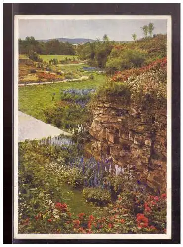 [Echtfotokarte farbig] Dt- Reich (022692) Propaganda Postkarte Reichsgartenschau Stuttgart 1939, Im Tal der Rosen, gelaufen mit TST. 