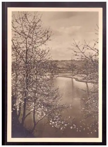 [Echtfotokarte schwarz/weiß] Dt- Reich (022765) Postkarte Reichsgartenschau Stuttgart 1939, Büte am großen See, ungebraucht. 