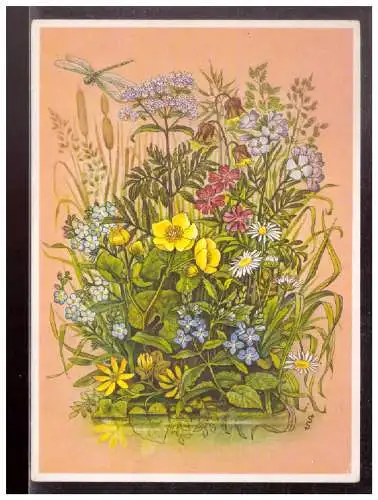 [Propagandapostkarte] Ak (022930) Reichsgartenschau Stuttgart 1939, Blumen am Wasser, blanco gestempelt mit SST am 9.7.1939. 