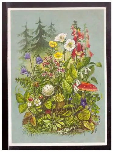 [Propagandapostkarte] Ak (022931) Reichsgartenschau Stuttgart 1939, Waldblumen, blanco gestempelt mit SST am 17.3.1939. 