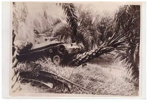 Dt- Reich (023454) Propaganda Presse Foto Japanischer Panzer in Dschungel Größe 13 x 18 cm