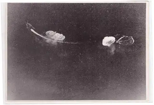 Dt- Reich (023455) Propaganda Presse Foto Bomben auf anglo amrikanisches Landungsgeleit Größe 13 x 18 cm