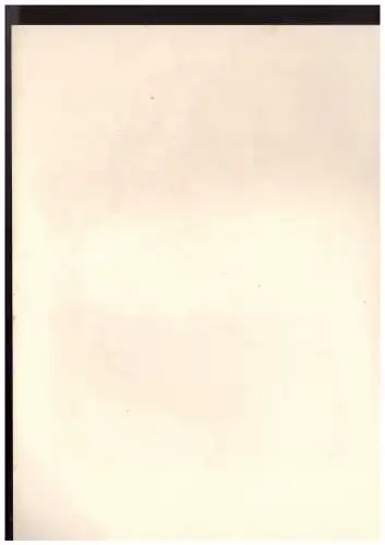 Dt.- Reich (023522) VDA Blatt Oberst Bräuer, Blatt 19 Oktober 1940