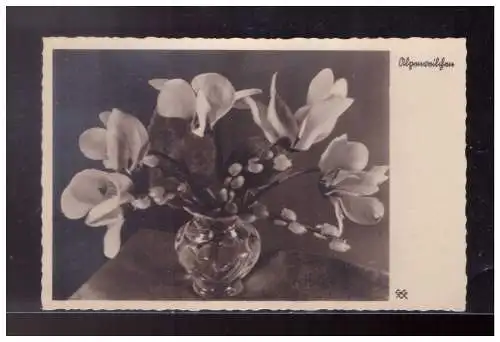 Deutsches Reich  Rundstempel (Datum und/oder Ort klar)