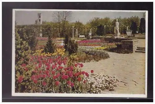 [Propagandapostkarte] Dt- Reich (024199) Postkarte, Reichsgartenschau Essen 1938, Teilstück A.D. Grossen Blumenhof, gelaufen Essen. 