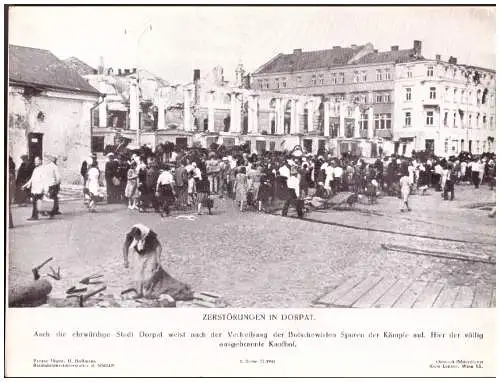 Dt- Reich (020648) Propaganda Pressefoto , H. Hoffmann, Zerstörungen in Dorpat