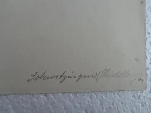 Aus Atelierfund orig. FEDERZEICHNUNG: SCHWETZINGEN (Heidelberg), sign. G. Wenzel