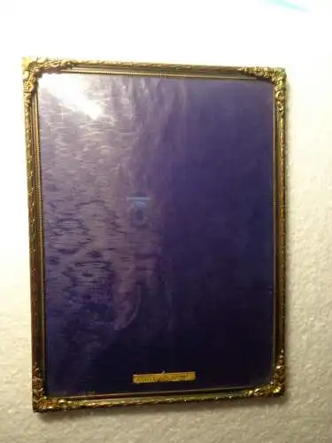 Zertifizierter Jugendstil BRONZE RAHMEN, gewölbtes Glas, neuwertig