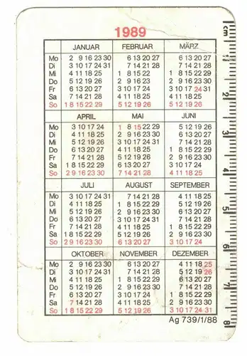 Taschenkalender Dynamo Dresden 1989 DDR